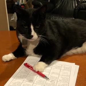 Meet your Posher, Jason